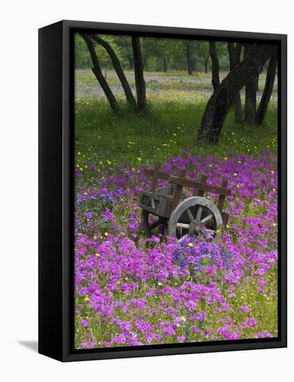 Wooden Cart in Field of Phlox, Blue Bonnets, and Oak Trees, Near Devine, Texas, USA-Darrell Gulin-Framed Stretched Canvas