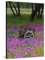 Wooden Cart in Field of Phlox, Blue Bonnets, and Oak Trees, Near Devine, Texas, USA-Darrell Gulin-Stretched Canvas