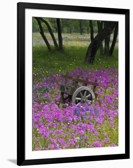 Wooden Cart in Field of Phlox, Blue Bonnets, and Oak Trees, Near Devine, Texas, USA-Darrell Gulin-Framed Premium Photographic Print