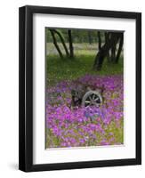 Wooden Cart in Field of Phlox, Blue Bonnets, and Oak Trees, Near Devine, Texas, USA-Darrell Gulin-Framed Photographic Print