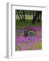 Wooden Cart in Field of Phlox, Blue Bonnets, and Oak Trees, Near Devine, Texas, USA-Darrell Gulin-Framed Photographic Print