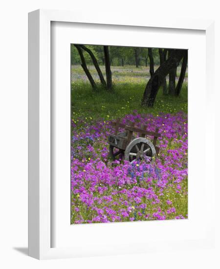 Wooden Cart in Field of Phlox, Blue Bonnets, and Oak Trees, Near Devine, Texas, USA-Darrell Gulin-Framed Photographic Print