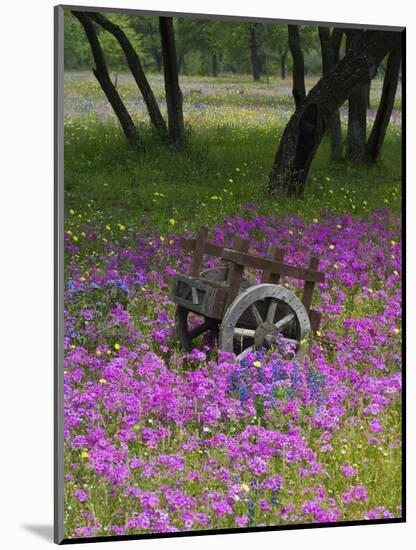 Wooden Cart in Field of Phlox, Blue Bonnets, and Oak Trees, Near Devine, Texas, USA-Darrell Gulin-Mounted Photographic Print