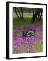 Wooden Cart in Field of Phlox, Blue Bonnets, and Oak Trees, Near Devine, Texas, USA-Darrell Gulin-Framed Photographic Print