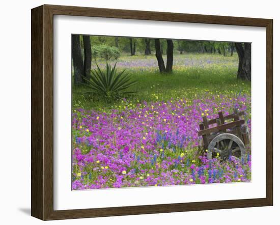 Wooden Cart in Field of Phlox, Blue Bonnets, and Oak Trees, Near Devine, Texas, USA-Darrell Gulin-Framed Photographic Print