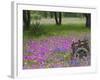 Wooden Cart in Field of Phlox, Blue Bonnets, and Oak Trees, Near Devine, Texas, USA-Darrell Gulin-Framed Photographic Print