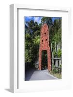 Wooden Carved Entrance at the Te Puia Maori Cultural Center, Rotorura, North Island-Michael Runkel-Framed Photographic Print