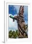 Wooden carvings on the Monument des Dix-Neuf (Monument of 19), Ouvea, Loyalty Islands, New Caledoni-Michael Runkel-Framed Photographic Print