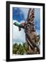 Wooden carvings on the Monument des Dix-Neuf (Monument of 19), Ouvea, Loyalty Islands, New Caledoni-Michael Runkel-Framed Photographic Print