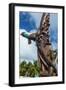 Wooden carvings on the Monument des Dix-Neuf (Monument of 19), Ouvea, Loyalty Islands, New Caledoni-Michael Runkel-Framed Photographic Print