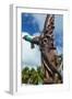 Wooden carvings on the Monument des Dix-Neuf (Monument of 19), Ouvea, Loyalty Islands, New Caledoni-Michael Runkel-Framed Photographic Print