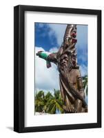 Wooden carvings on the Monument des Dix-Neuf (Monument of 19), Ouvea, Loyalty Islands, New Caledoni-Michael Runkel-Framed Photographic Print