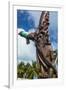 Wooden carvings on the Monument des Dix-Neuf (Monument of 19), Ouvea, Loyalty Islands, New Caledoni-Michael Runkel-Framed Photographic Print