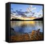 Wooden Chair on Beach of Relaxing Lake at Sunset in Algonquin Park, Canada-elenathewise-Framed Stretched Canvas