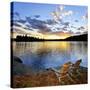 Wooden Chair on Beach of Relaxing Lake at Sunset in Algonquin Park, Canada-elenathewise-Stretched Canvas