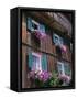 Wooden Chalet with Flowers, Hallstatt, Austria, Europe-Jean Brooks-Framed Stretched Canvas