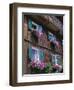 Wooden Chalet with Flowers, Hallstatt, Austria, Europe-Jean Brooks-Framed Photographic Print