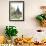 Wooden Church on the Edge of Tatra National Park, Zakopane, Poland, Europe-Kim Walker-Framed Photographic Print displayed on a wall