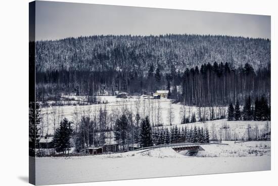 Wooden Cottage in Winter Forest, Central Finland-Andrew Bayda-Stretched Canvas