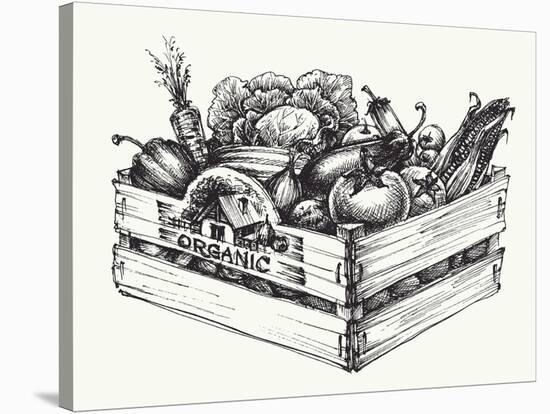 Wooden Crate Full of Organic Food Isolated, Farm Organic Vegetables, Organic Word Written in the Wo-Danussa-Stretched Canvas
