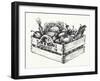 Wooden Crate Full of Organic Food Isolated, Farm Organic Vegetables, Organic Word Written in the Wo-Danussa-Framed Art Print