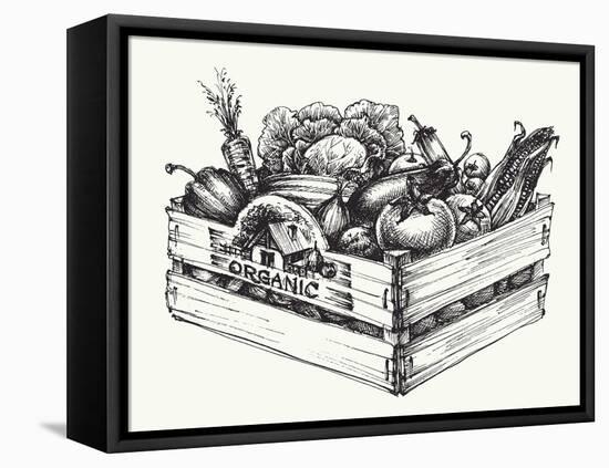 Wooden Crate Full of Organic Food Isolated, Farm Organic Vegetables, Organic Word Written in the Wo-Danussa-Framed Stretched Canvas