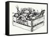 Wooden Crate Full of Organic Food Isolated, Farm Organic Vegetables, Organic Word Written in the Wo-Danussa-Framed Stretched Canvas