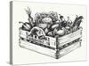 Wooden Crate Full of Organic Food Isolated, Farm Organic Vegetables, Organic Word Written in the Wo-Danussa-Stretched Canvas