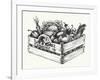 Wooden Crate Full of Organic Food Isolated, Farm Organic Vegetables, Organic Word Written in the Wo-Danussa-Framed Art Print