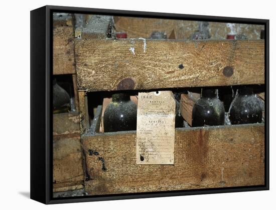 Wooden Crate of Bottles, Banyuls Wine, Cellier Des Dominicains in Collioure-Per Karlsson-Framed Stretched Canvas