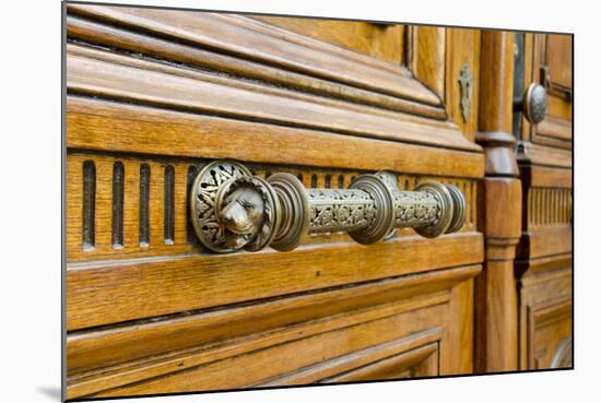 Wooden Doors of the Vail House Part of Russell Sage College, Troy, New York, USA-Cindy Miller Hopkins-Mounted Photographic Print