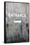 Wooden Entrance Door-null-Framed Stretched Canvas