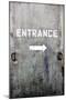 Wooden Entrance Door-null-Mounted Photo
