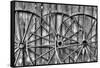 Wooden fence and old wagon wheels, Charleston, South Carolina-Darrell Gulin-Framed Stretched Canvas