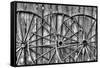 Wooden fence and old wagon wheels, Charleston, South Carolina-Darrell Gulin-Framed Stretched Canvas