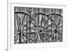 Wooden fence and old wagon wheels, Charleston, South Carolina-Darrell Gulin-Framed Photographic Print
