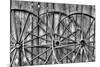 Wooden fence and old wagon wheels, Charleston, South Carolina-Darrell Gulin-Mounted Photographic Print