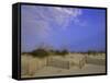Wooden Fence in the Sand-null-Framed Stretched Canvas