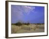 Wooden Fence in the Sand-null-Framed Photographic Print