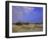 Wooden Fence in the Sand-null-Framed Photographic Print