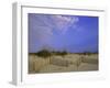 Wooden Fence in the Sand-null-Framed Photographic Print