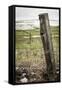 Wooden Fence Post around a Wheat Field, Palouse, Washington, USA-Brent Bergherm-Framed Stretched Canvas