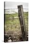 Wooden Fence Post around a Wheat Field, Palouse, Washington, USA-Brent Bergherm-Stretched Canvas