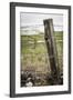 Wooden Fence Post around a Wheat Field, Palouse, Washington, USA-Brent Bergherm-Framed Photographic Print