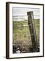 Wooden Fence Post around a Wheat Field, Palouse, Washington, USA-Brent Bergherm-Framed Photographic Print