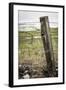 Wooden Fence Post around a Wheat Field, Palouse, Washington, USA-Brent Bergherm-Framed Photographic Print