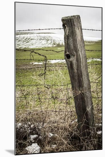 Wooden Fence Post around a Wheat Field, Palouse, Washington, USA-Brent Bergherm-Mounted Photographic Print