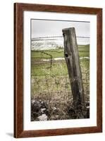 Wooden Fence Post around a Wheat Field, Palouse, Washington, USA-Brent Bergherm-Framed Photographic Print