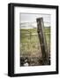 Wooden Fence Post around a Wheat Field, Palouse, Washington, USA-Brent Bergherm-Framed Photographic Print