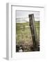 Wooden Fence Post around a Wheat Field, Palouse, Washington, USA-Brent Bergherm-Framed Photographic Print